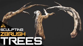 Sculpting Trees in ZBrush 2020 and Substance Painter