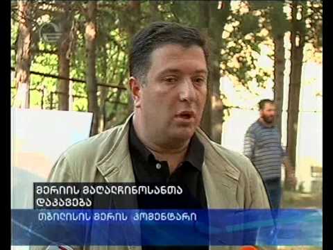 გიგი უგულავას კომენტარი მერიის მაღალჩინოსანთა დაკავებებთან დაკავშირებით