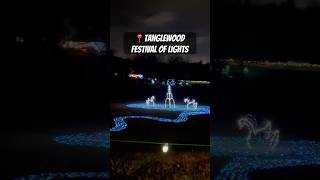 Drive Through Christmas Light Show | Tanglewood Festival of Lights #christmas