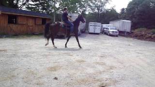 M4H09164.MP4