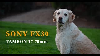 Cover Sony FX30 Short Film Footage Tamron 17-70 Cinematic