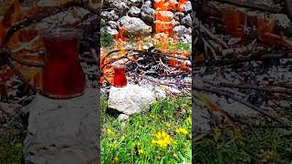 Eller Muradına Erdi Üzik Ürkü Şk Ğa Öneçıkart