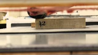 Katherine Liontas-Warren: Stone Lithography II