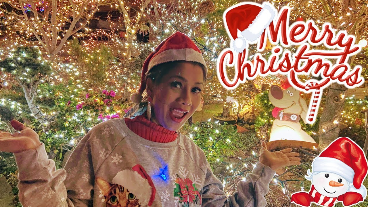 Christmas Lights and Decoration USA 2020 🎄 🎅🏽 Christmas Lights Street Tour America