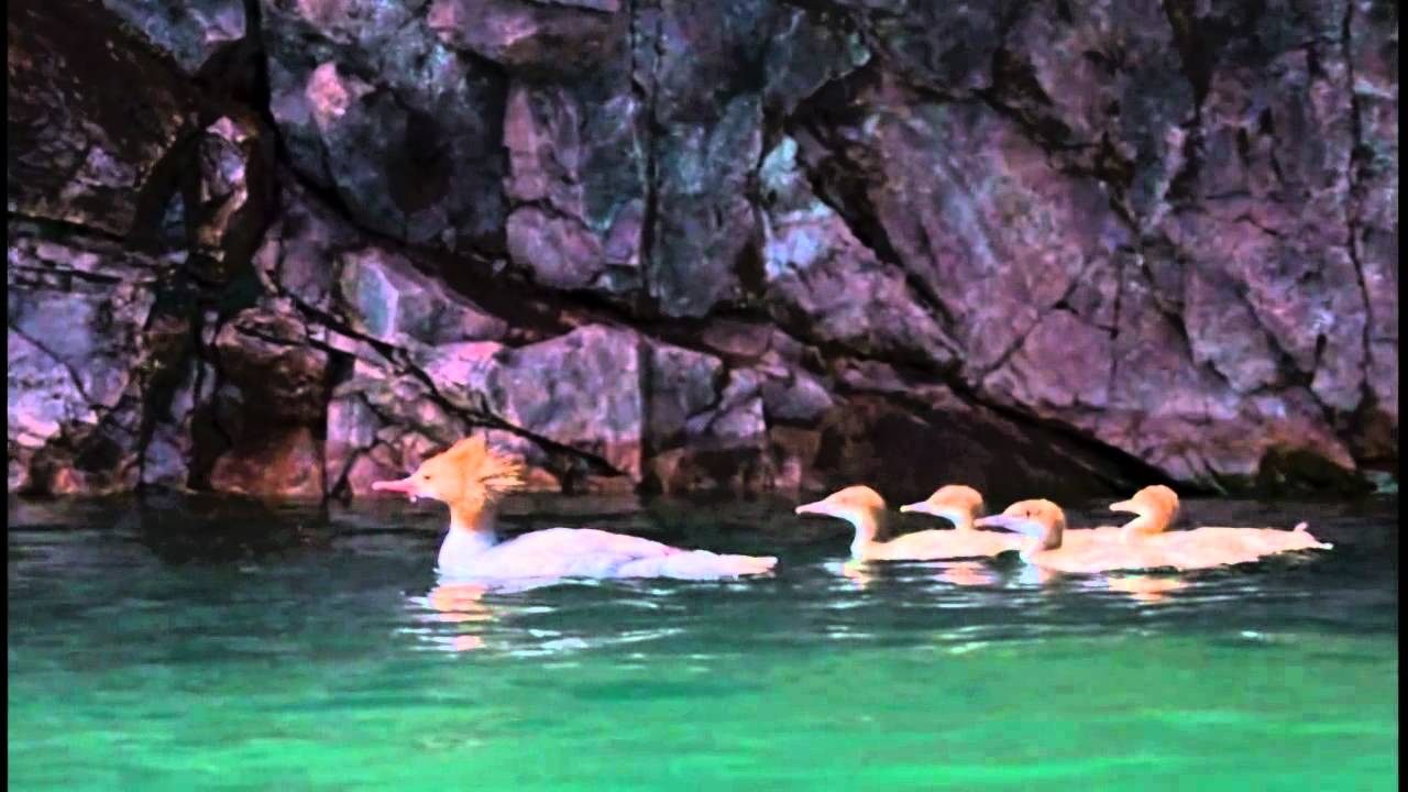 Minnesota Land Trust - A New Conservation Legacy