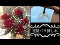 【Garden】薔薇の挿し木①/成功した方法/お花屋さんのバラ