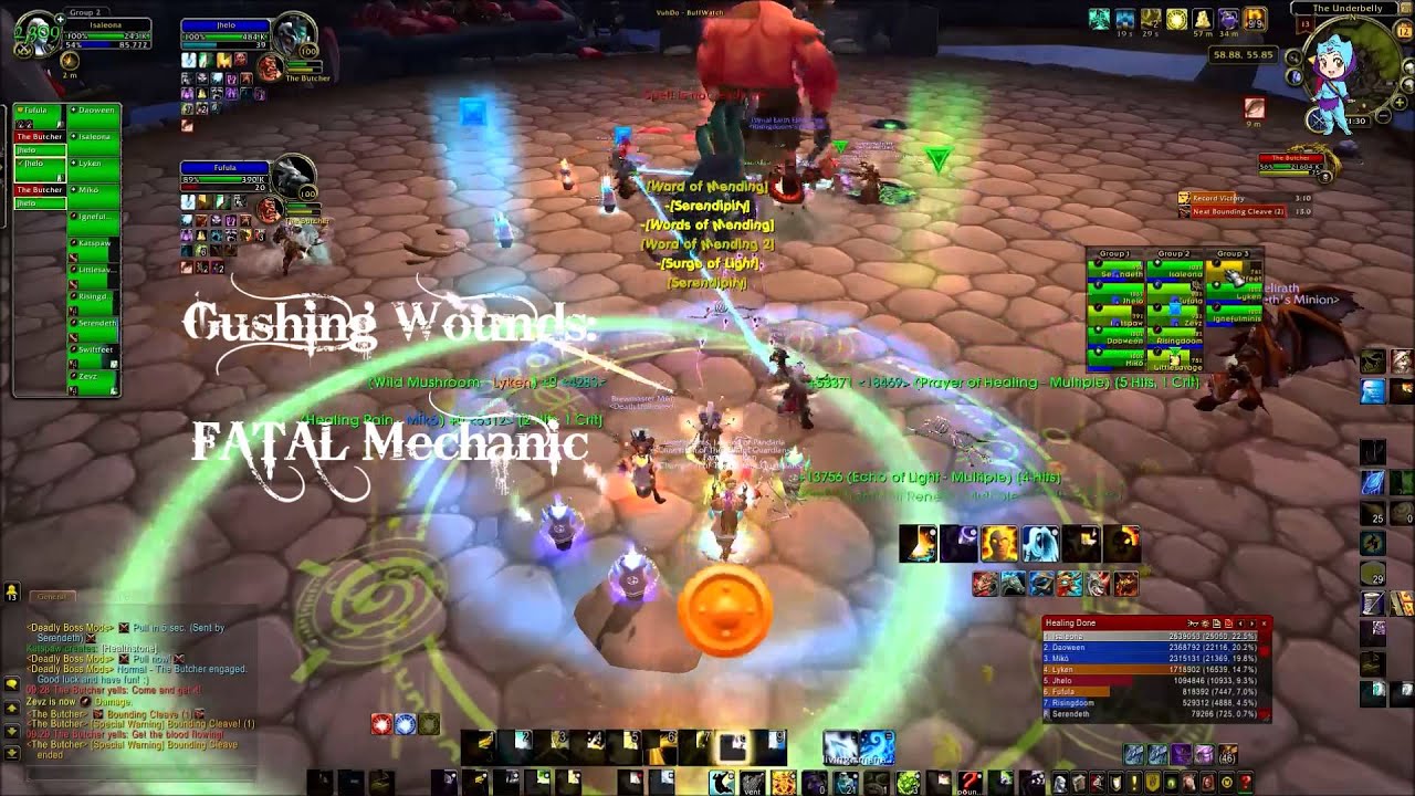 Angry Healers' Guides to Highmaul- The Butcher (Normal/Heroic) - YouTube