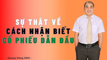 Sự thật về cách nhận biết cổ phiếu dẫn đầu, phân tích kỹ thuật, vsa | Quang Dũng DBD