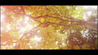 SUMANGATKU (my spirit) - Agus Ken Frengky