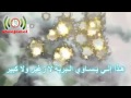 الليلة افراح وسرور ولادة الإمام المهدي 