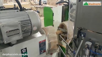 Máy phay mộng dương 2 đầu Woodmaster WM D200CNC