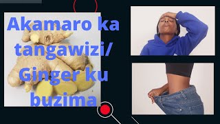Akamaro Ka Tangawizi Ginger Ku Buzima Ibyo Kugabanya Ibiro Gukiza Uburwayi Butandukanye,.....