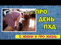 vlog про день пхд