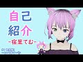 【自己紹介】宿里てむです。はじめまして!【新人Vtuber】