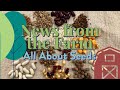 News from the Farm: All About Seeds