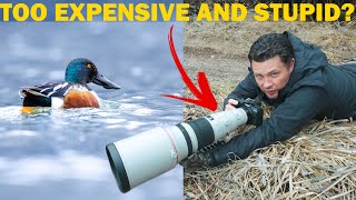 what you really need for wildlife photography