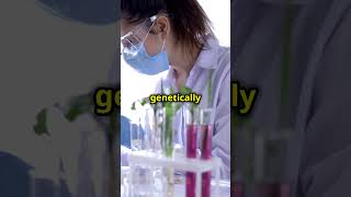 Biotechnology Resimi