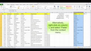 Excel labs - SumIf and AverageIf Functions Explained for Beginners