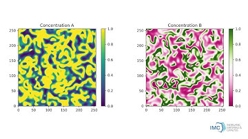 Reaction-diffusion system with Lotka-Volterra Kinetics