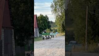 Пермский край❤️ В гостях🤭
