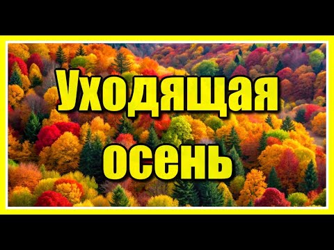 'Уходящая осень...' Красивое видео и музыка! Релакс. Посмотрите и послушайте!