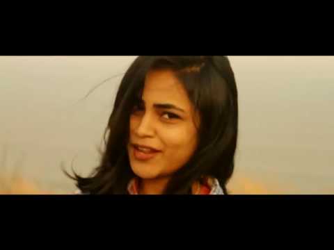 Naalo Nenu Full Video Song || Shatamanam Bhavati ||Sharwanand, Anupama, Mickey J Meyer, CoverSong