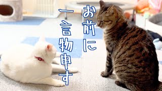 よく聞け。お前に一言物申す