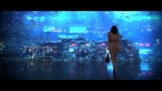 Aquarium at The Dubai Mall, Downtown Dubai(Swim with the sharks at Dubai Aquarium The aquatic world has an irresistible charm... to watch the fluidity, ease and grace of sand tiger sharks, the excited ..., 2011-01-23T05:16:46.000Z)