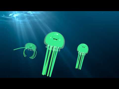 Adobe Animate Modern Rigging