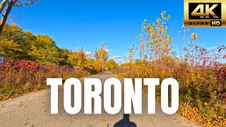 Toronto Fall Bike Ride in 4K | POV Cycling Tour of the City