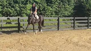 Tributary-flat work