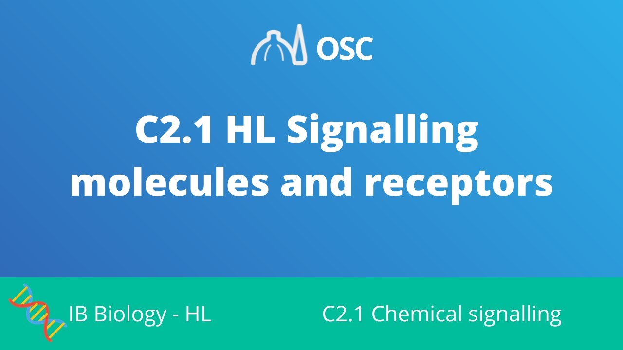 C2.1 HL Signalling Molecules and Receptors [IB Biology HL]