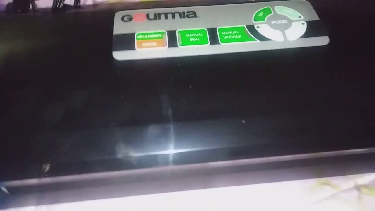 Gourmia Food Sealer Review YouTube
