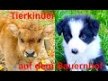 Für kleine Kinder: Tierkinder auf dem Bauernhof mit Naturgeräuschen, ohne Musik - FARM ANIMAL SOUNDS