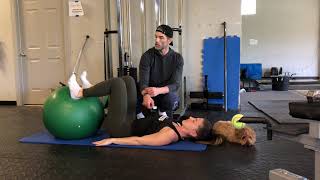 Stability Ball High Hamstring ISO Hold