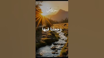 وآية لهم الأرض الميتة أحييناها وأخرجنا منها حبا فمنه يأكلون(سورة يس)#قرآن#quran #اكسبلور #لايك #ترند