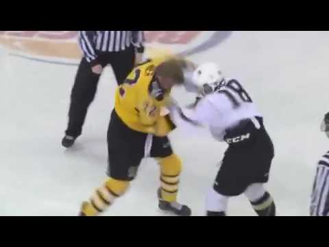 Absolutely unreal fight from the QMJHL this year