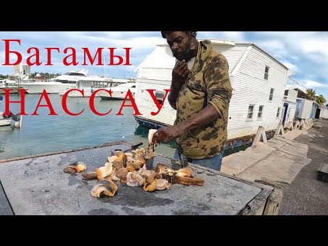 Видео: Лучшие бары на Багамах