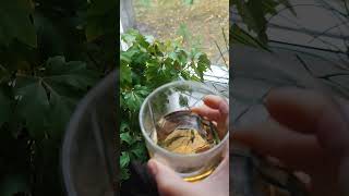 энергетик - наркотик ?
