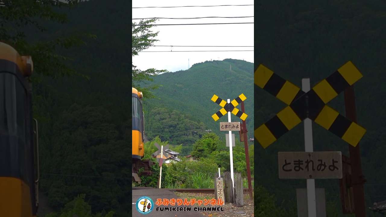 Railroad Crossing Train] What Will Pass By Next?［Railroad