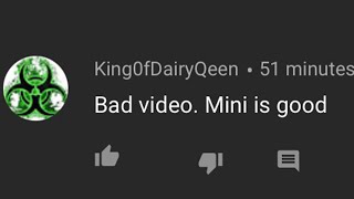 The Stupidest Mini Ladd Fan Ever