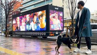 朝倉海の黒歴史トラックを街に放ってみた