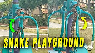 Person Encounters Snake Climbing Playground Structure