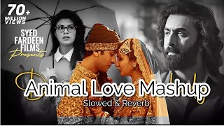 Animal Love Mashup | Slowed & Reverb | Arijit Singh | Syed Fardeen Films