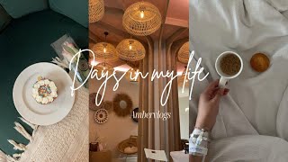 Birthday Surprise Launch Event Hospital Ambervlogs