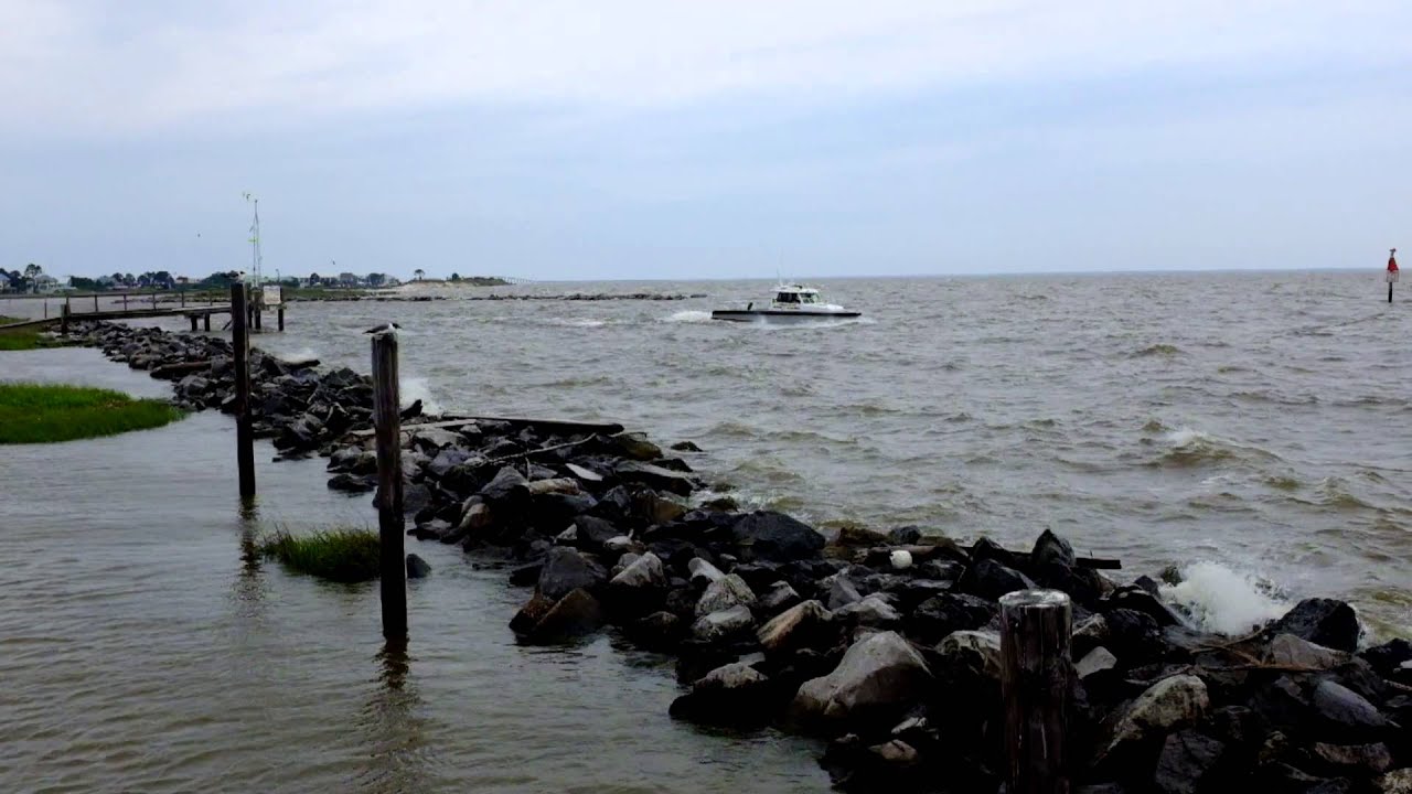Dauphin Island YouTube