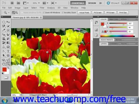 Photoshop CS5 Tutorial Bitmap Images Adobe Training Lesson 3.1