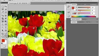 Photoshop CS5 Tutorial Bitmap Images Adobe Training Lesson 3.1