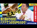 【介護食/最先端】バナナでブロッコリーがすりつぶせる！？MFSやわらか食とは！（ドランクドラゴンのバカ売れ研究所　公式）