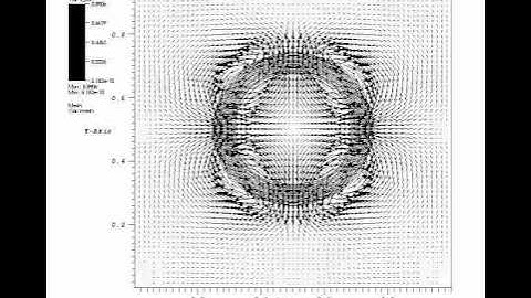 Finite Element Immersed Boundary Method
